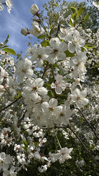 Similar image 22637057