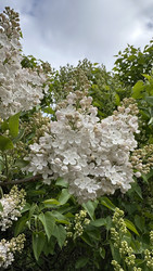 Similar image 22637058