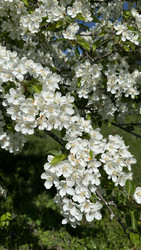 Similar image 22637069