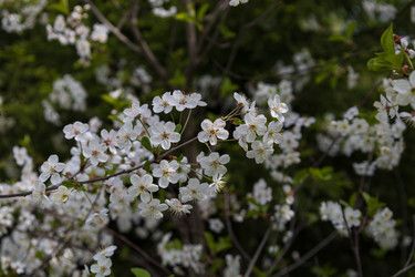 Similar image 22637070