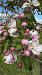 Similar image 22637071