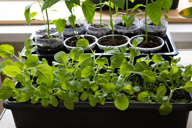 Similar image 22637073