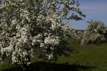 Similar image 22637074