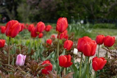 Similar image 22637075