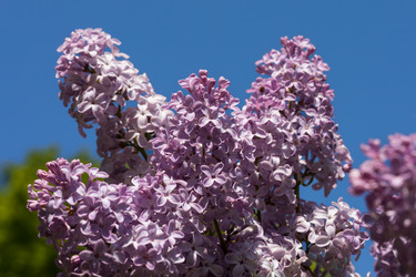 Similar image 22637083