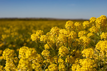 Similar image 22637084