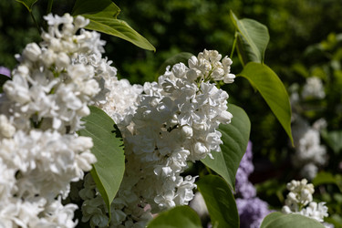 Similar image 22637085