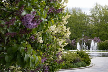 Similar image 22637086