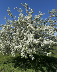 Similar image 22637087