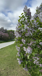 Similar image 22637098