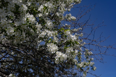 Similar image 22637099