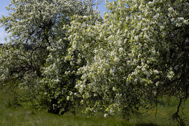 Similar image 22637100