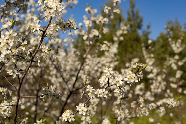 Similar image 22637101