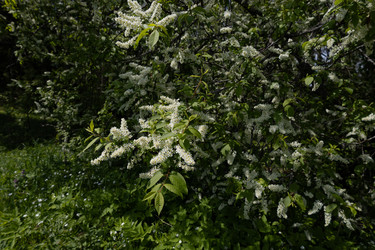 Similar image 22637102