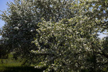 Similar image 22637115