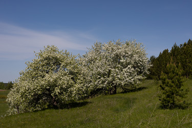 Similar image 22637116