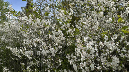 Similar image 22637117