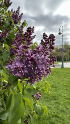 Similar image 22637118