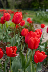 Similar image 22637119