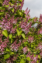 Similar image 22637120