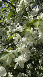 Similar image 22637128