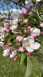 Similar image 22637129