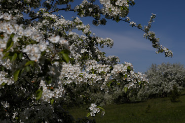 Similar image 22637130