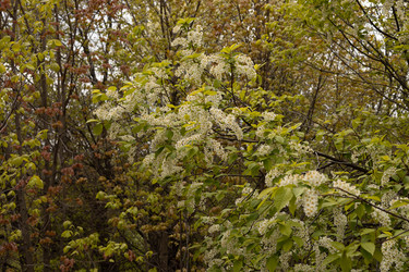 Similar image 22637131