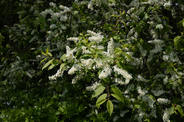 Similar image 22637132