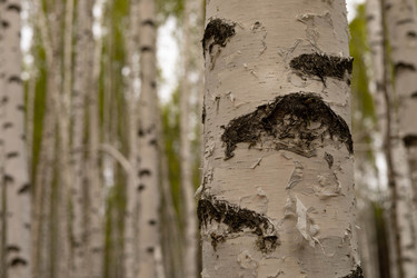 Similar image 22637133