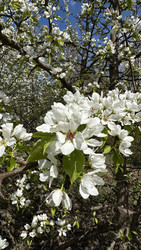 Similar image 22637134