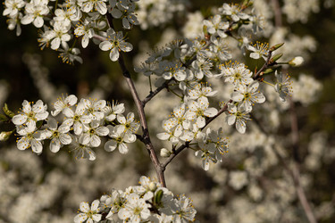 Similar image 22637142