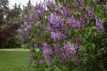 Similar image 22637143