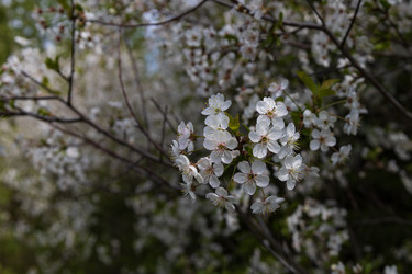 Similar image 22637144