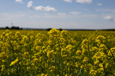 Similar image 22637145