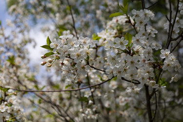 Similar image 22637147