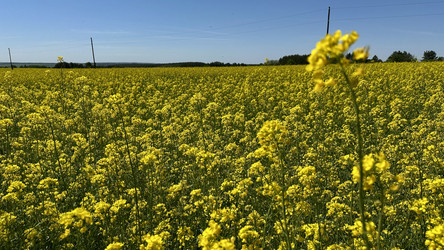 Similar image 22637148