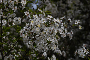 Similar image 22637157