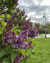 Similar image 22637159