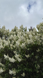 Similar image 22637160