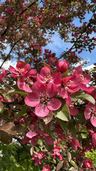 Similar image 22637161