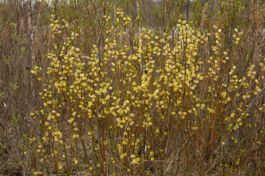 Similar image 22637172