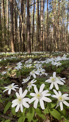 Similar image 22637173