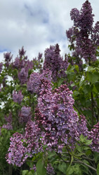 Similar image 22637174