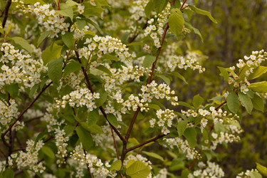 Similar image 22637175