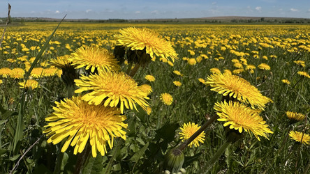 Similar image 22637176