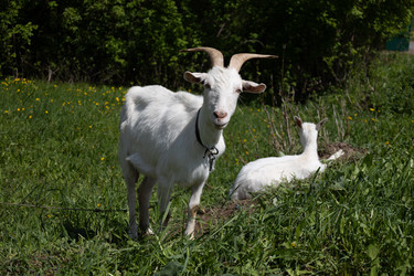 Similar image 22637177