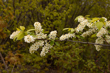 Similar image 22637178