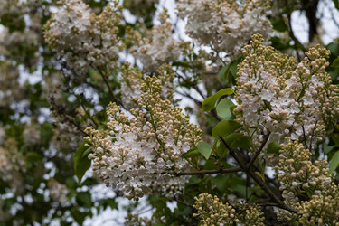 Similar image 22637187