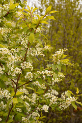 Similar image 22637188